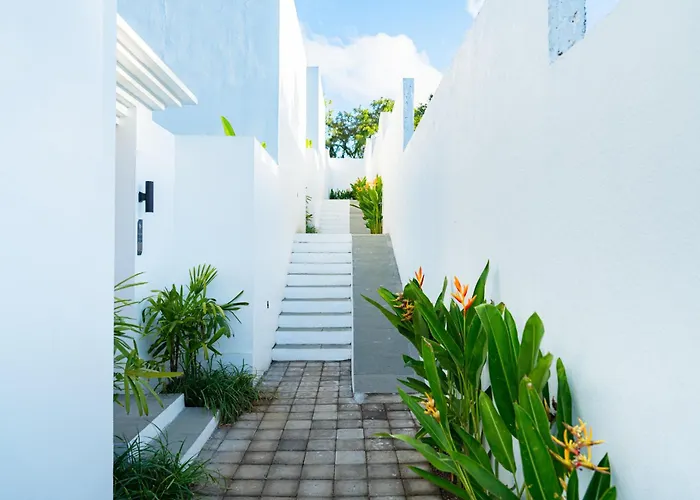 Villa Dita *